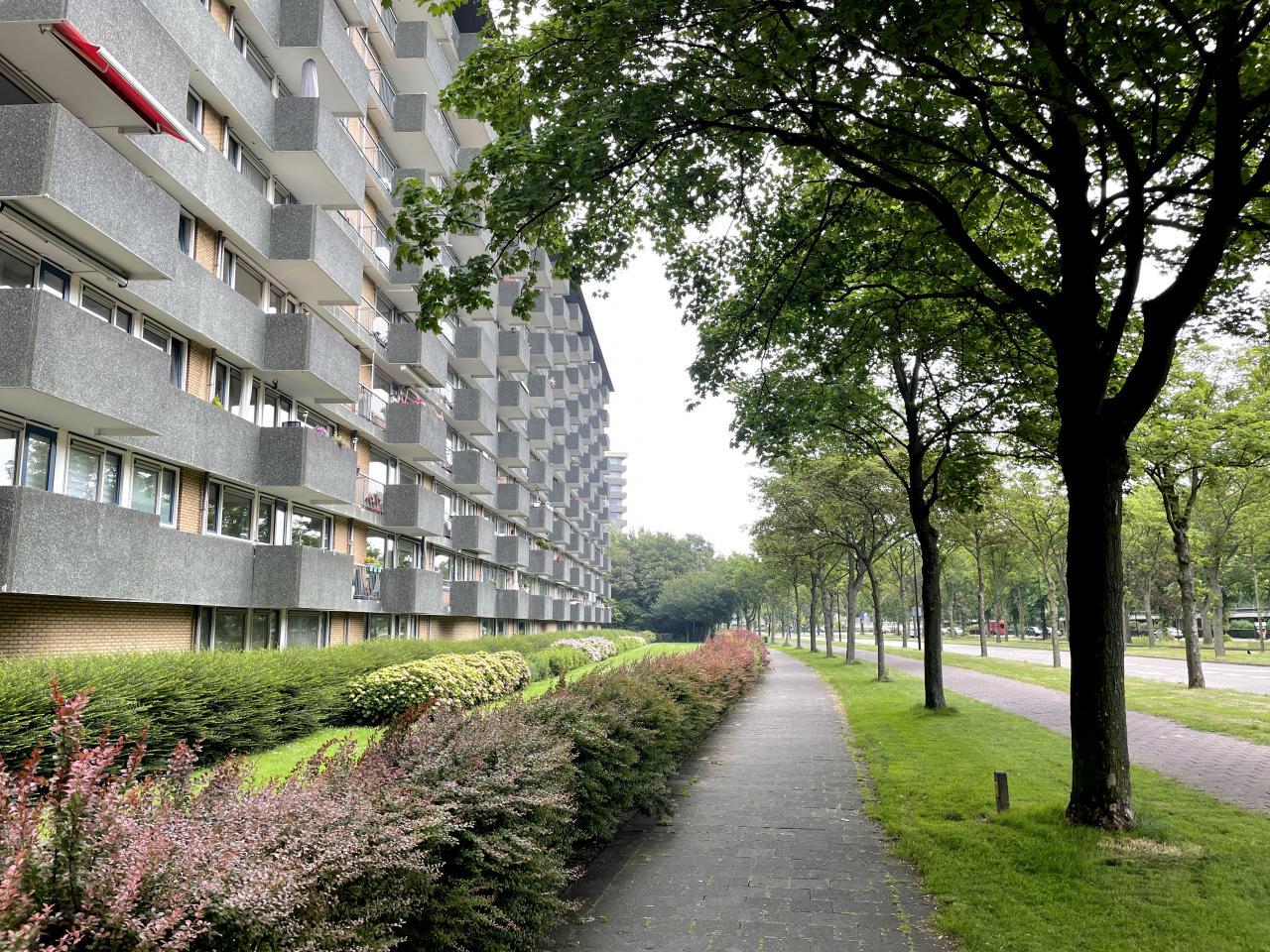 Appartement in Rijswijk