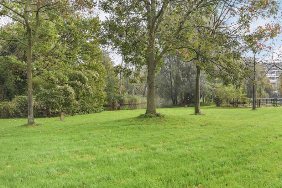 Apartments, rooms and houses for rent in Leiden, the Netherlands