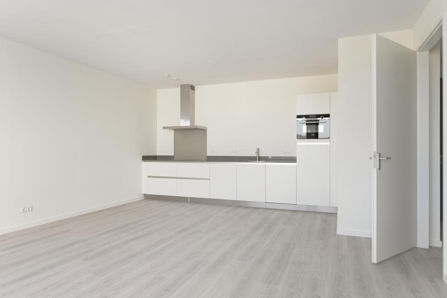 Apartments, rooms and houses for rent in Arnhem, the Netherlands